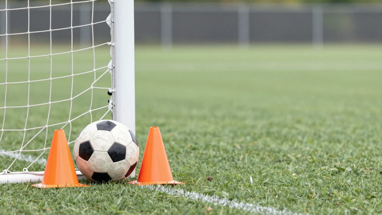 A soccer ball resting between two orange training cones at the foot of a goal post on a green pitch.